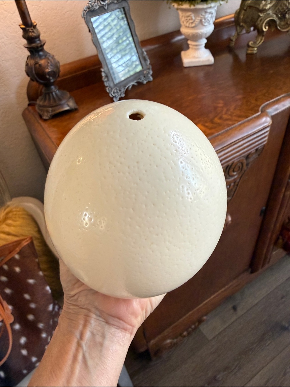 Large Real Blown Ostrich Egg - Picture 4 of 17
